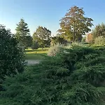 Bed & Breakfast Il Papavero