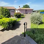 Il Papavero