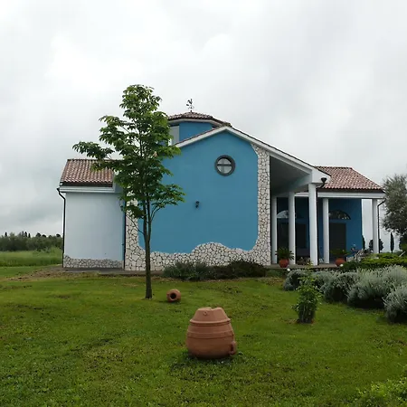 Il Papavero