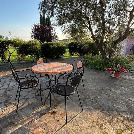 Bed & Breakfast Il Papavero *