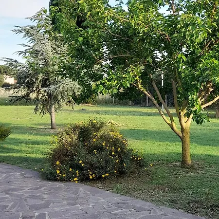 Il Papavero *